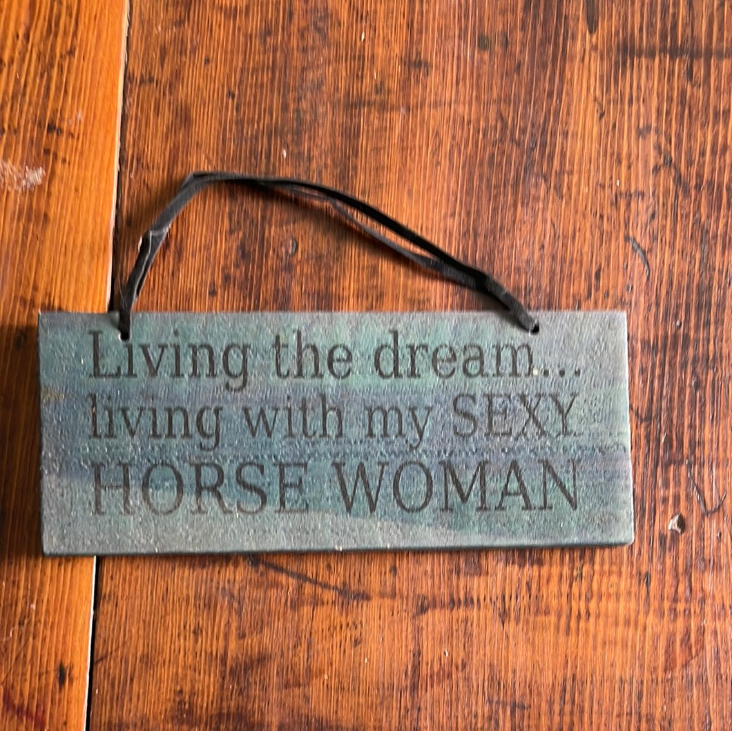 Live in the dream sexy horse woman timber sign
