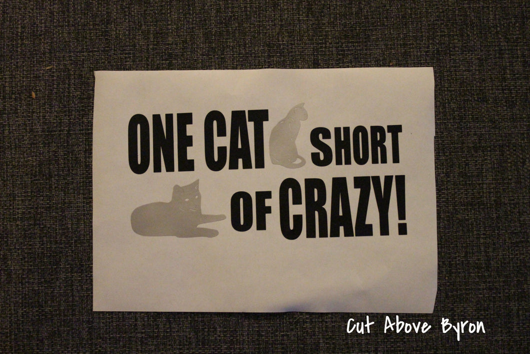 One cat short of crazy in black and silver